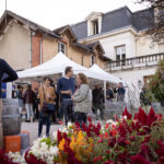 Groupe de gens dégustant du vin