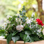 Mariage L&V__9277 © Eve BRUN (1)