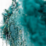 Mariage Lisa&Valentin 17 mai 2025 _5068 @ Eve BRUN